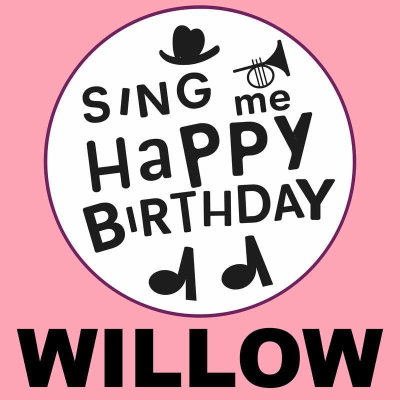 Sing Me Happy Birthday Willow - Album Cover